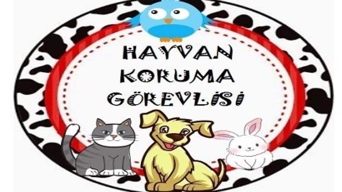 Anasınıf A şubesi öğrencilerimiz hayvan koruma görevlisi oldular.
